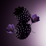 Blackcurrant & Rose